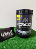 Platinum 100% Creatine Monohydrate 400 G – MuscleTech